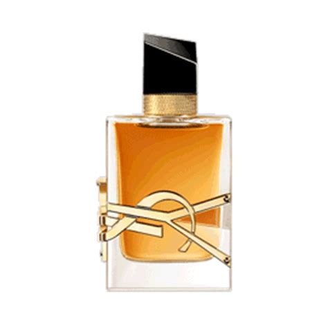 ysl libre fragantica|ysl libre price.